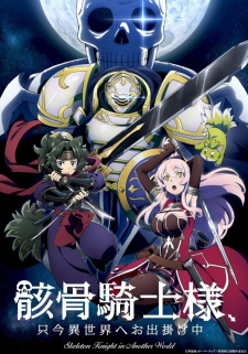 Skeleton Knight going out to the parallel universe, Skeleton Knight in Another World