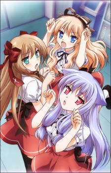 Stray Cats Overrun! [Bluray]