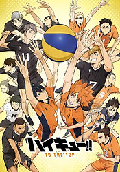 Haikyuu!!: To the Top 2nd Season, Haikyuu!!: To the Top (Ss4), Haikyuu!! (2020) 2nd Season