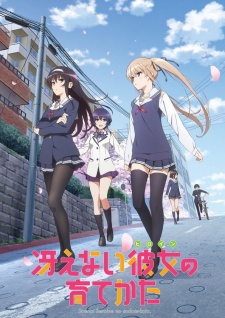 Saekano: How to Raise a Boring Girlfriend [Bluray]