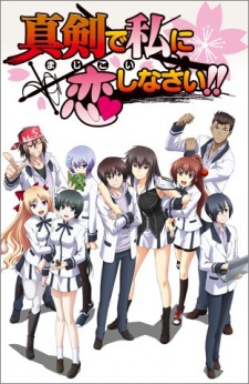 Majikoi: Oh! Samurai Girls, Hãy yêu em thật lòng
